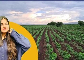 Agricultural land par housing society banaanay se kitna nuqsaan hota hai?