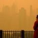Smog Safety: How to protect yourself