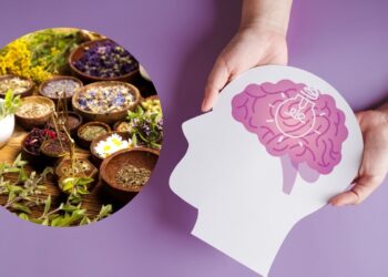 Enhance your memory with three natural herbs