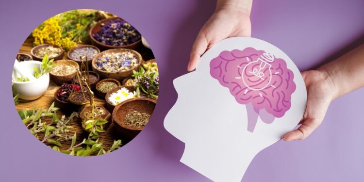 Enhance your memory with three natural herbs