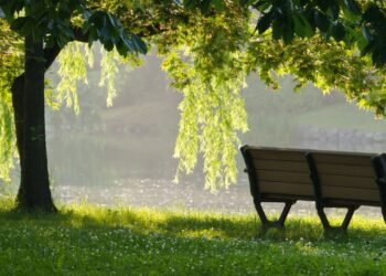 Listening to silence