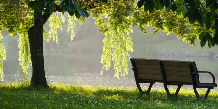 Listening to silence